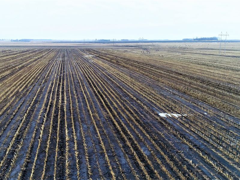 80 Acres Moody County South Dakota : Flandreau : Moody County : South Dakota