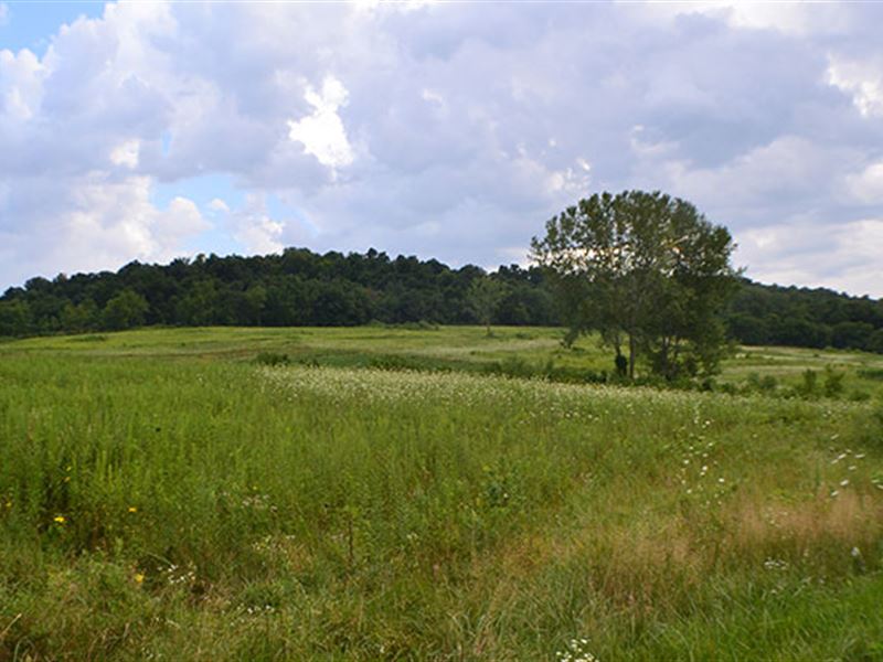The Current Owner Purchased This : Holy Cross : Dubuque County : Iowa