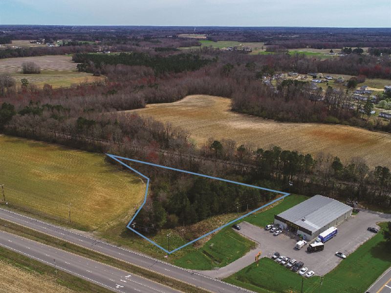 Absolute $1 Auction, 1.49 Site : Lucama : Wilson County : North Carolina
