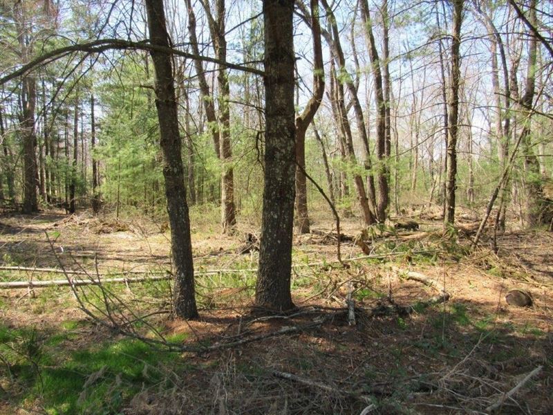 Building Lot Auction in Floyd VA : Floyd : Floyd County : Virginia