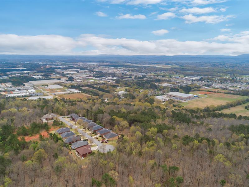 Auction Eagle Pass Subdivision Lots : Anniston : Calhoun County : Alabama
