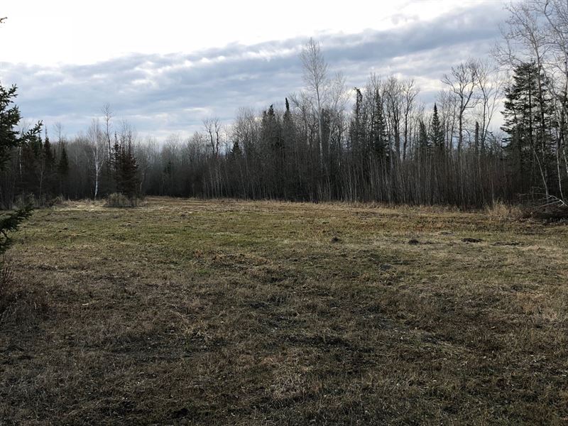 Blackduck MN Hunting Land Shooks, Land for Sale in Minnesota, 197057