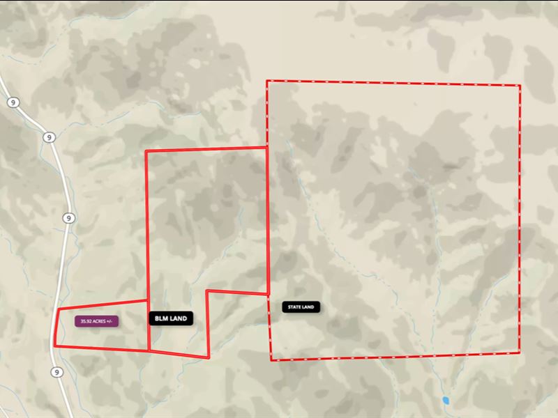 Wooded Mountain Land Online Auction : Canon City : Fremont County : Colorado