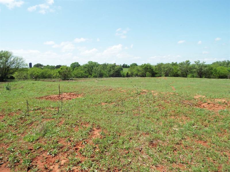 160 Acres Cropland, Pasture, Pond : Helena : Alfalfa County : Oklahoma