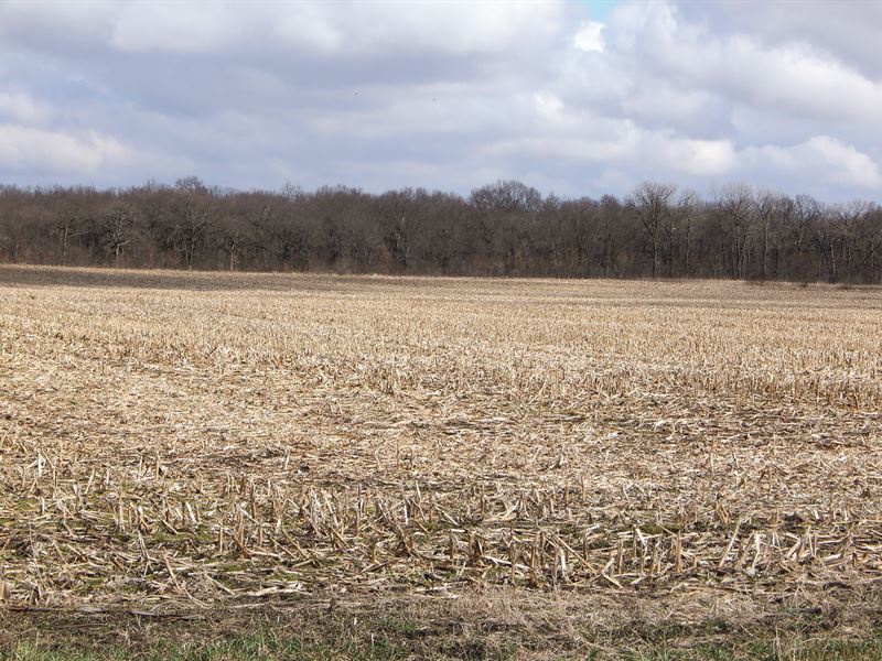 Major Land Auction in Illinois : Beaverville : Iroquois County : Illinois