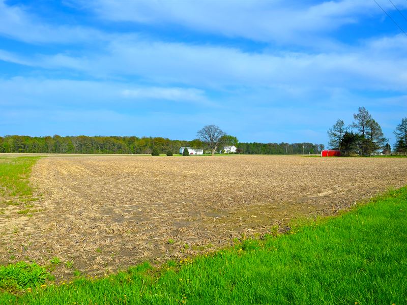 Real Estate Auction in Indiana : Fort Wayne : Allen County : Indiana