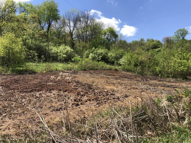 Fox Valley, 5 Acres : Gnadenhutten : Tuscarawas County : Ohio