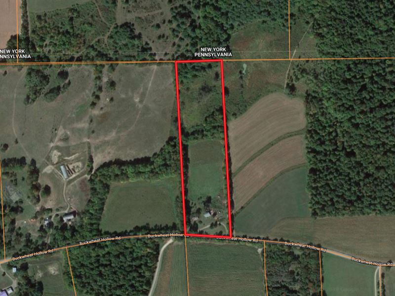 10 Recreational Acres Tioga County, Land Auction in Pennsylvania