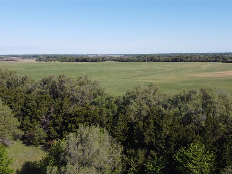 The Homestead Quarter : Turon : Reno County : Kansas