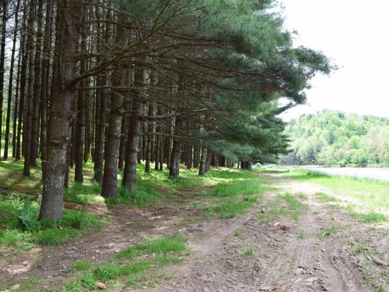 Recreational Land Auction Grayson : Galax : Grayson County : Virginia