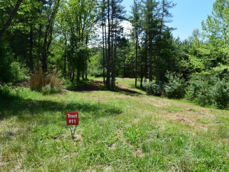 River Front Land Auction, Galax VA : Galax : Grayson County : Virginia