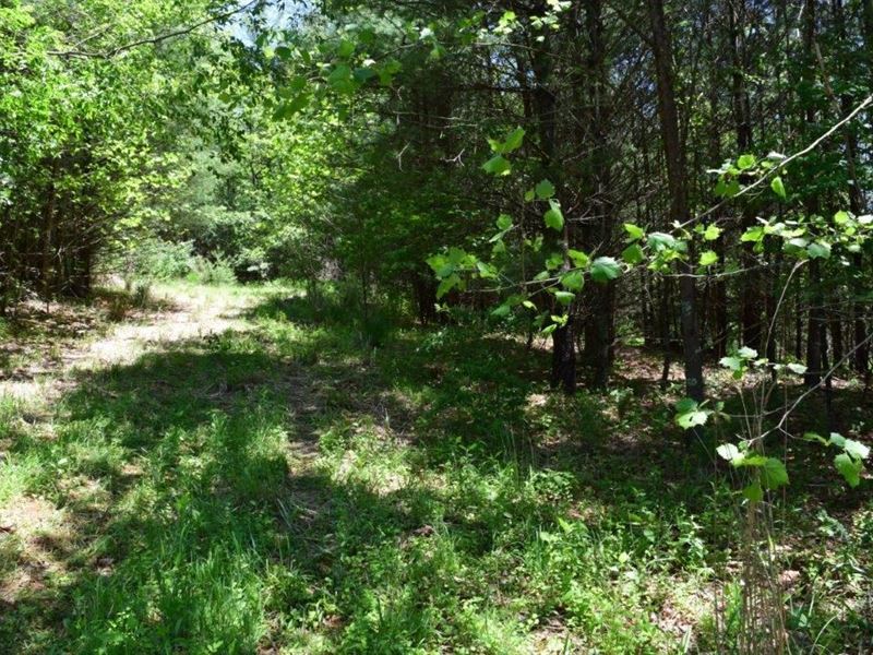 New River Land Auction in Galax VA : Galax : Grayson County : Virginia