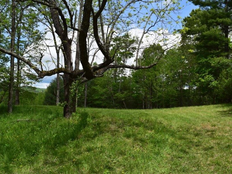 New River Property Galax VA Auction : Galax : Grayson County : Virginia