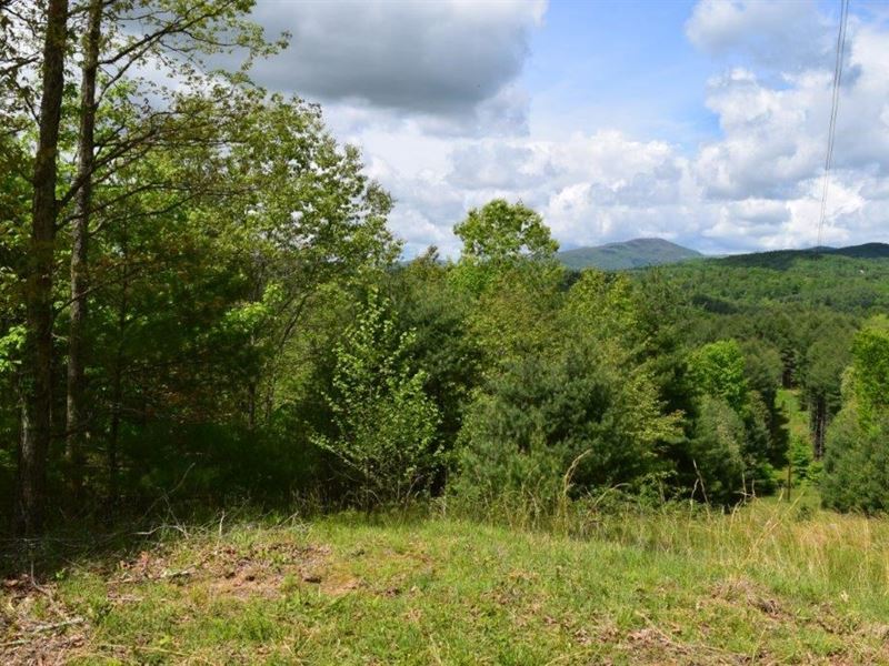 Recreational Land Galax VA Auction : Galax : Grayson County : Virginia