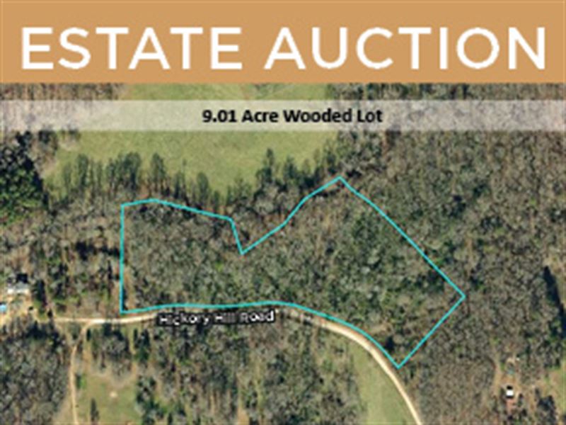 Estate Auction in Danielsville, Ga : Danielsville : Madison County : Georgia