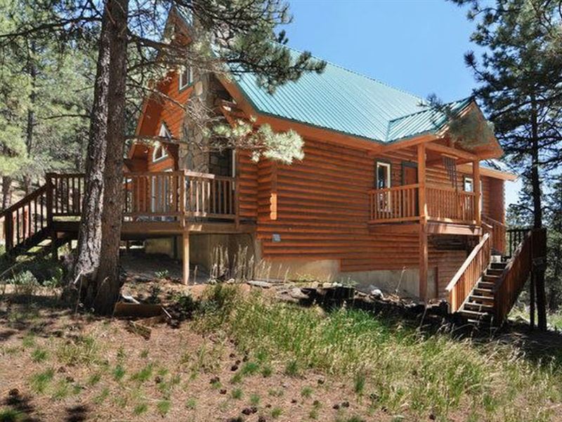 Log Cabin & 35 Acres : Loveland : Larimer County : Colorado