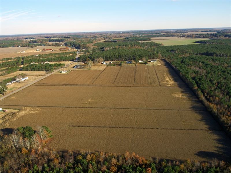 NC Farmland Pasquotank County-Just : Elizabeth City : Pasquotank County : North Carolina