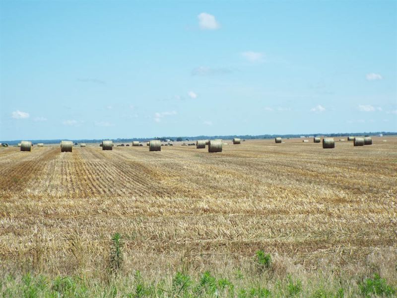 160 Acres Cropland : Nash : Grant County : Oklahoma