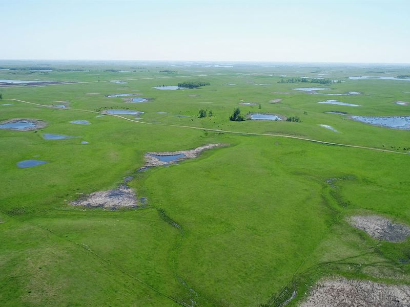 480 Acres Contiguous Pasture : Sisseton : Roberts County : South Dakota