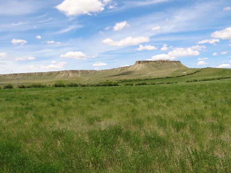 Northern Montana Farm Land Auction : Kevin : Toole County : Montana