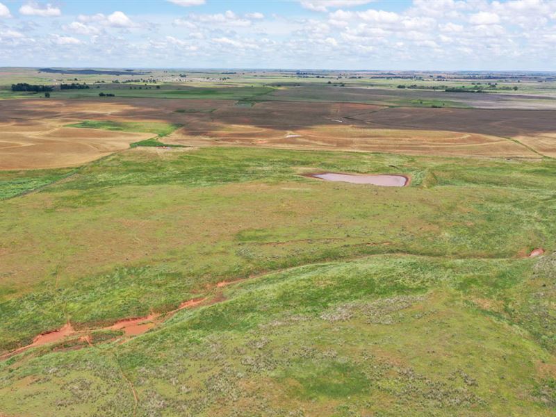 1,380 Acres Grassland & Cropland : Buffalo : Harper County : Oklahoma