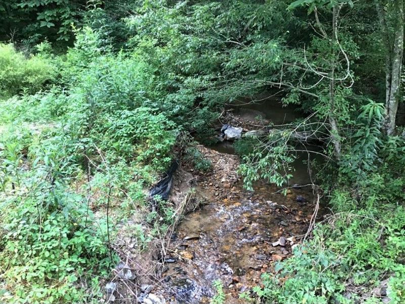 Wooded Building Site Auction in NC : Ferguson : Wilkes County : North Carolina