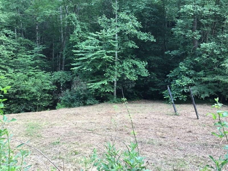 Building Lot Auction Wilkes County : Ferguson : Wilkes County : North Carolina