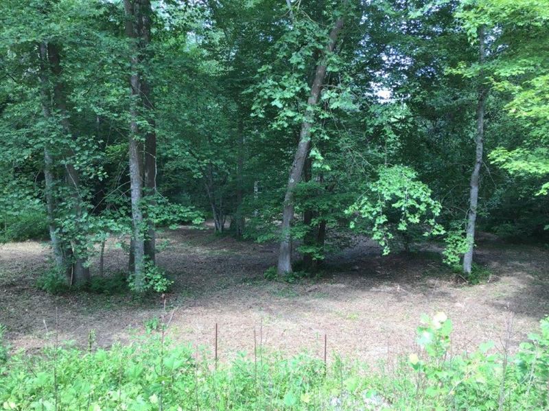 Land Auction in Wilkes County NC : Ferguson : Wilkes County : North Carolina