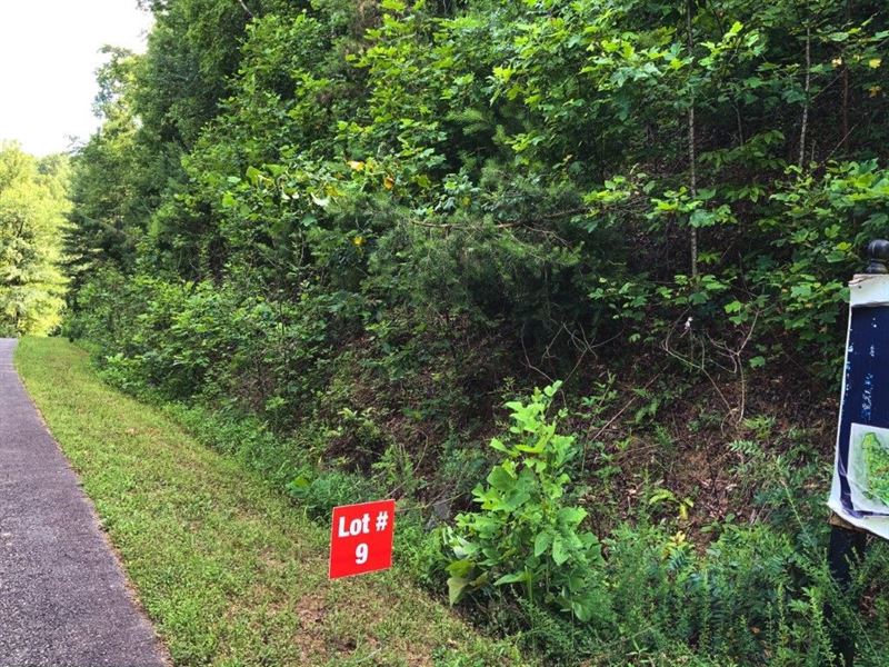 Wooded Building Site Auction : Ferguson : Wilkes County : North Carolina