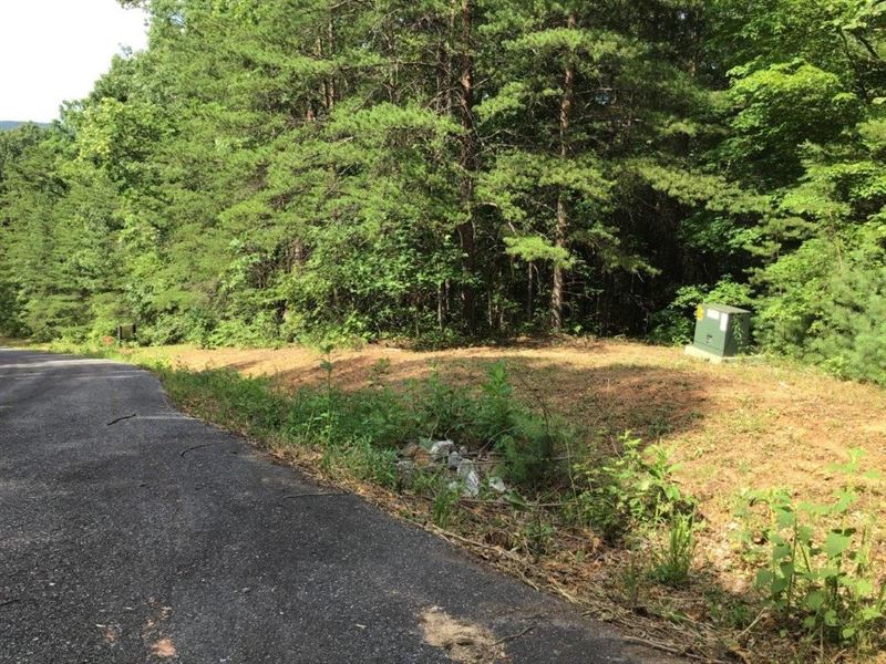Recreational Land Auction Ferguson : Ferguson : Wilkes County : North Carolina