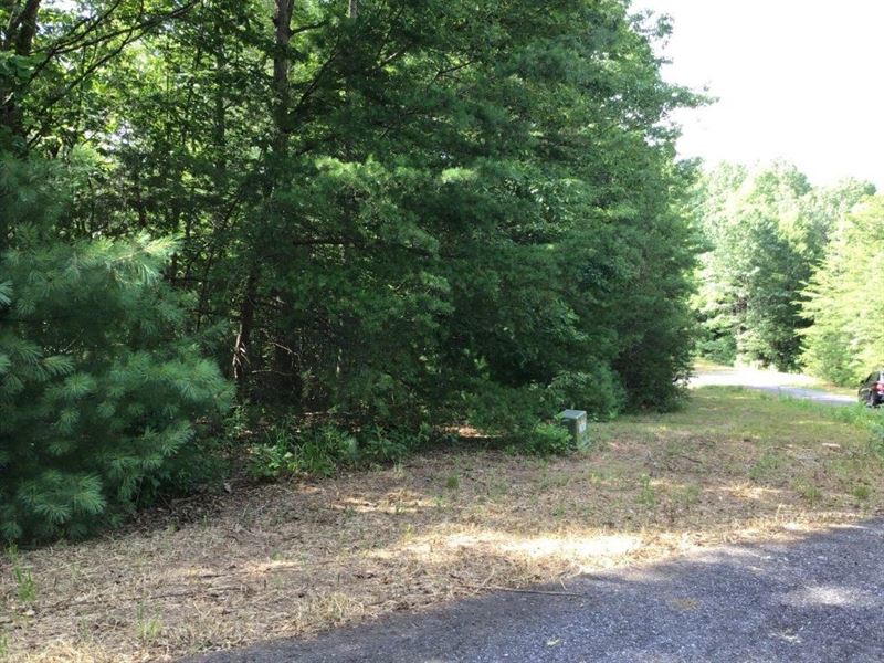 Ferguson NC Multi Parcel Auction : Ferguson : Wilkes County : North Carolina