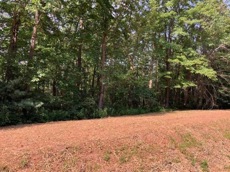 Investment Potential Land Auction : Ferguson : Wilkes County : North Carolina