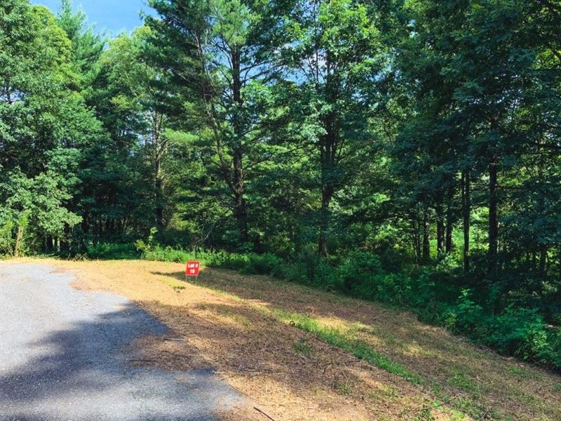 Multi Parcel Land Auction Wilkes : Ferguson : Wilkes County : North Carolina
