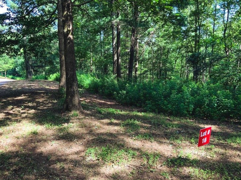 Recreational Farm Land Auction : Ferguson : Wilkes County : North Carolina