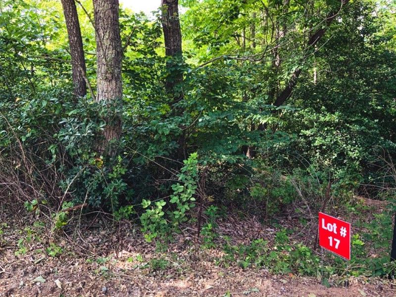Ridge Top Wooded Land in NC : Ferguson : Wilkes County : North Carolina