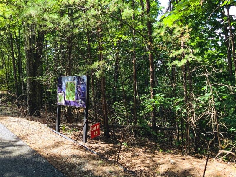 Wooded Land for Sale in Ferguson NC : Ferguson : Wilkes County : North Carolina