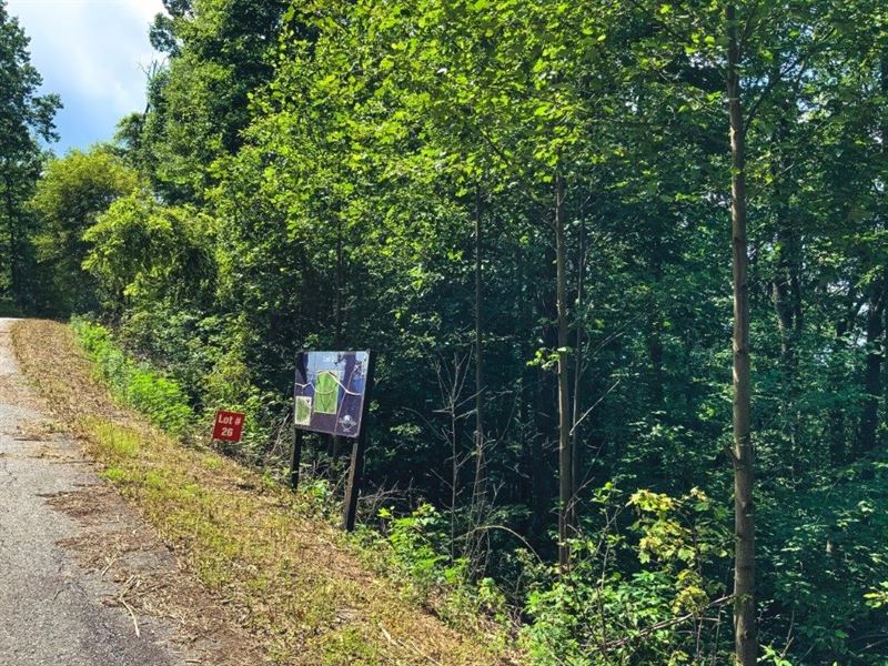 Hunting Recreational Home Site : Ferguson : Wilkes County : North Carolina
