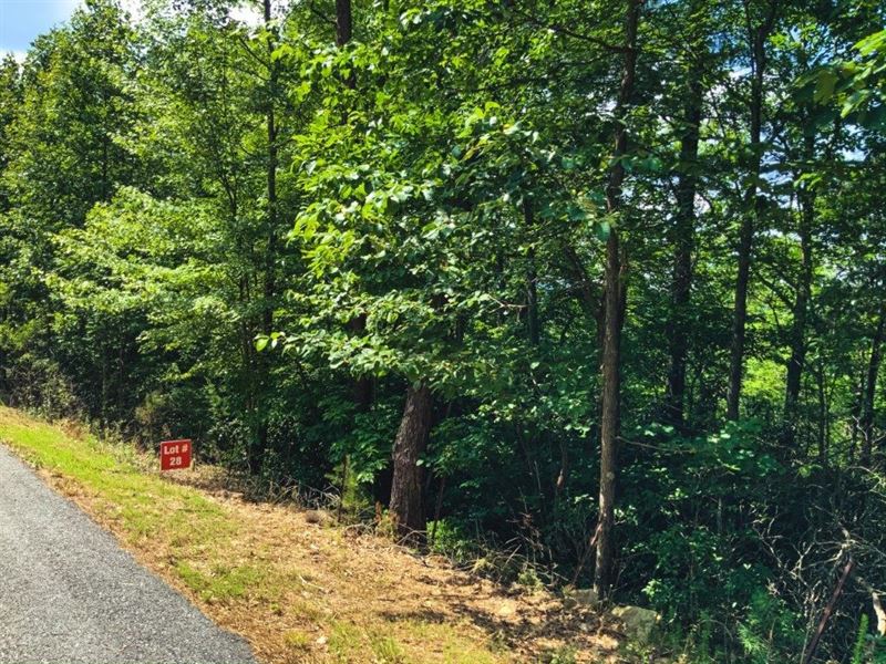 Land Auction in Wilkes County NC : Ferguson : Wilkes County : North Carolina