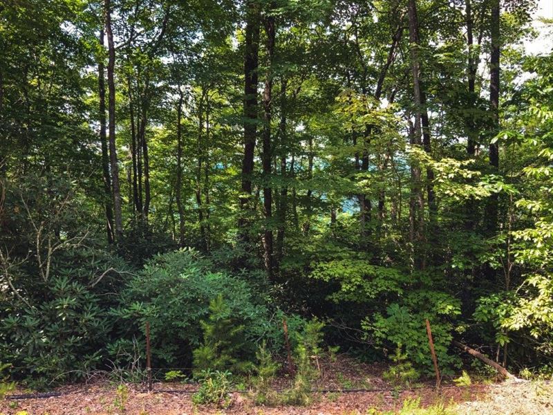 Country Home Site in Ferguson NC : Ferguson : Wilkes County : North Carolina