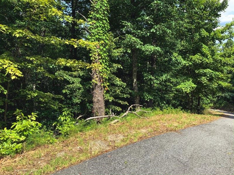 Cabin OR Country Home Site in NC : Ferguson : Wilkes County : North Carolina
