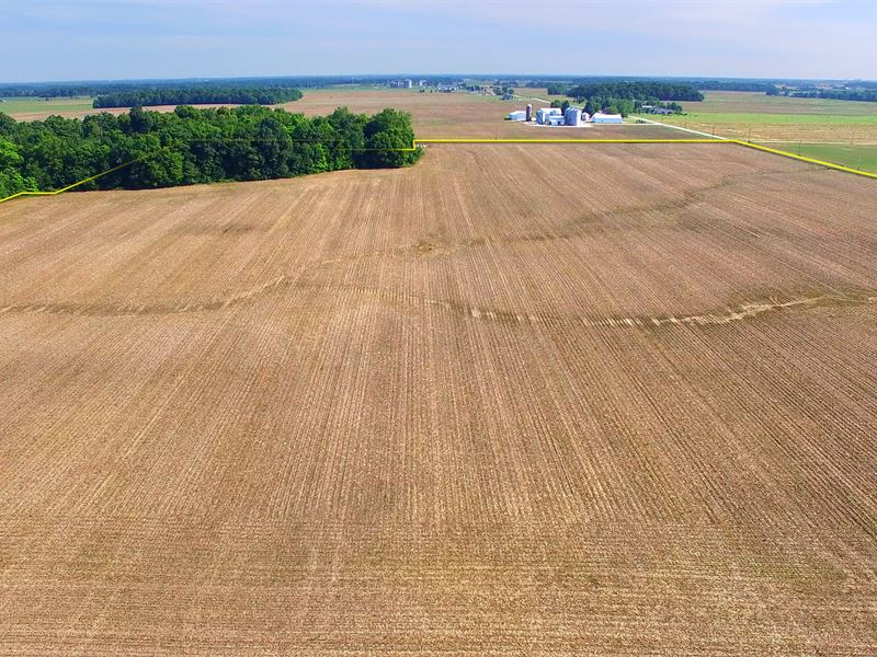 Land Auction in Indiana : Columbia City : Whitley County : Indiana