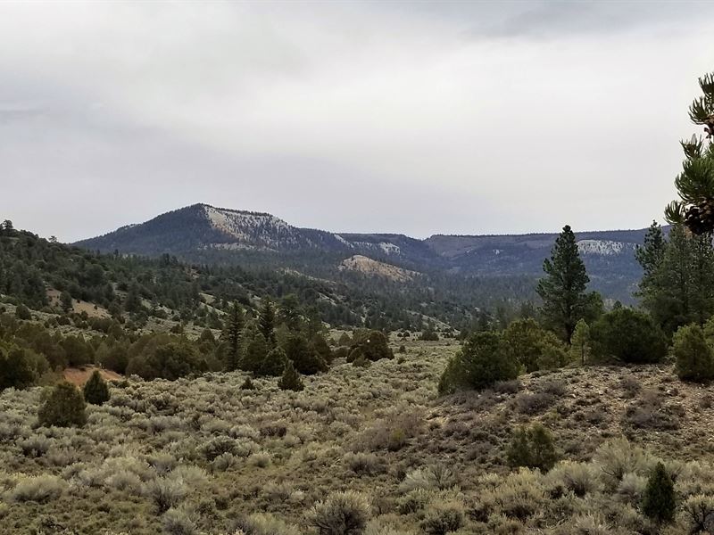 Pine Lake Ranch : Panguitch : Garfield County : Utah