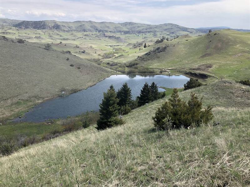 The Wild Mountain Ranch : Livingston : Park County : Montana