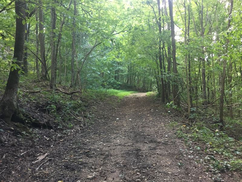 120 Ac, Recreational / Timberland : Collinsville : DeKalb County : Alabama