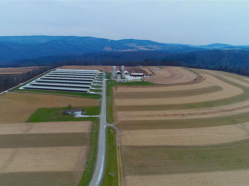 Beautiful Self Sustaining Farm : Tunkhannock : Wyoming County : Pennsylvania