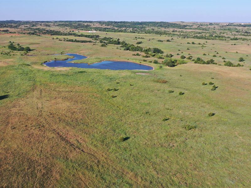 Cropland, Grassland, Hunting & More : Medford : Grant County : Oklahoma
