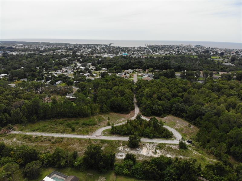 Gulf Coast Suburban Development : Hudson : Pasco County : Florida