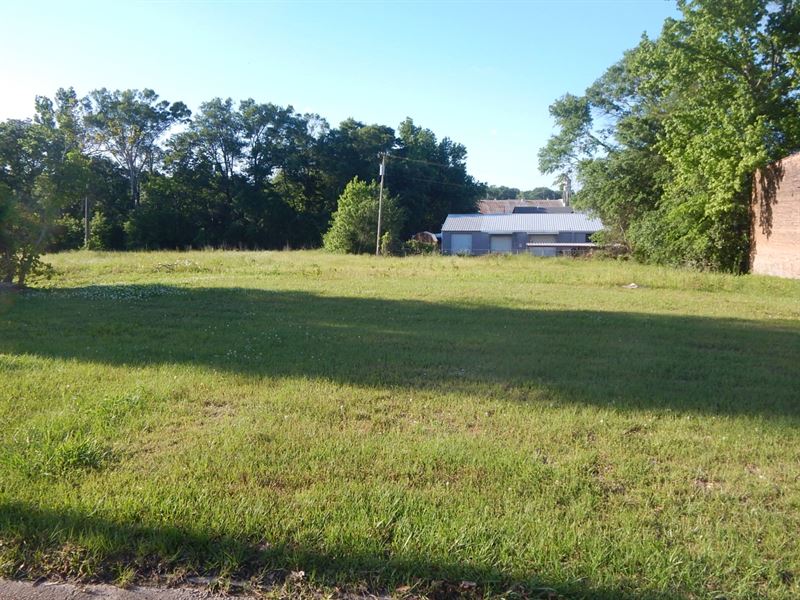 Dev Site Auction in Opp Zone, Ms : McComb : Pike County : Mississippi
