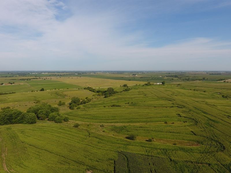 Wayne County Iowa 307 Acre Online : Humeston : Wayne County : Iowa