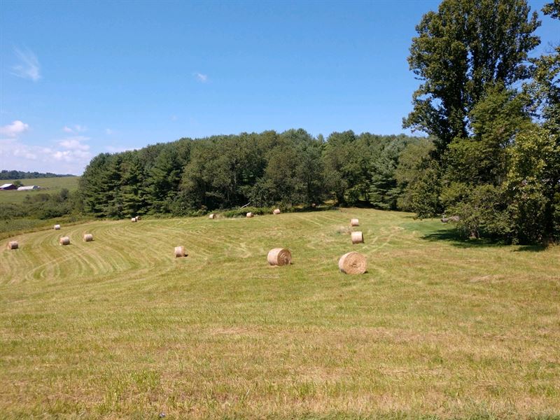 Pasture Land in Floyd VA Auction : Floyd : Floyd County : Virginia